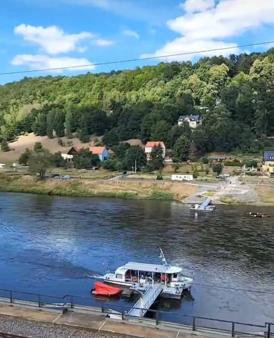 Апартаменты Elbblick Кёнигштайн-ан-дер-Эльбе Экстерьер фото