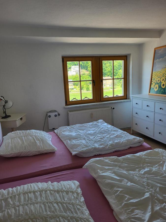 Апартаменты Elbblick Кёнигштайн-ан-дер-Эльбе Экстерьер фото